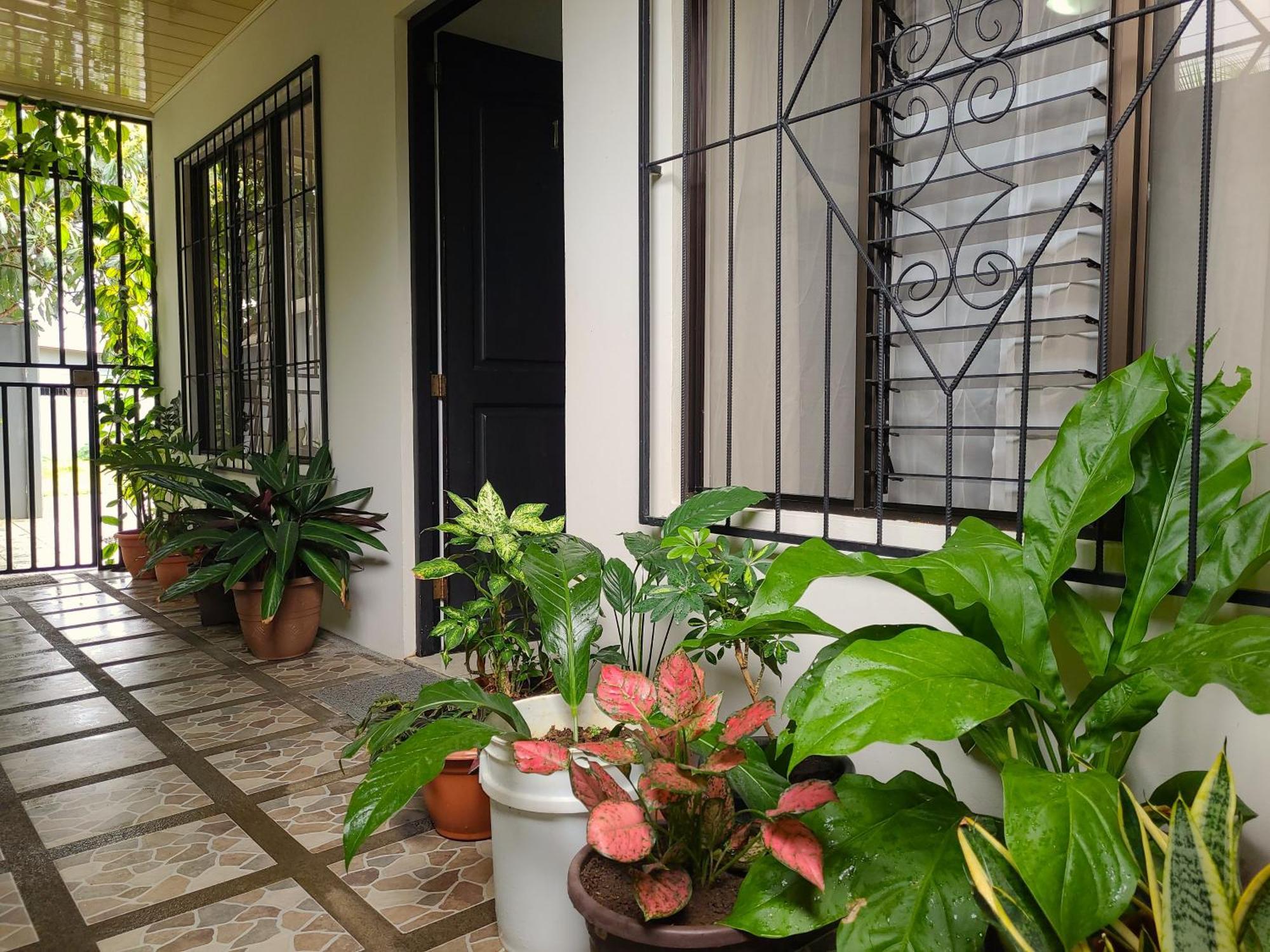 Butterfly Apartments La Fortuna 외부 사진